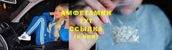 индика Верхний Тагил